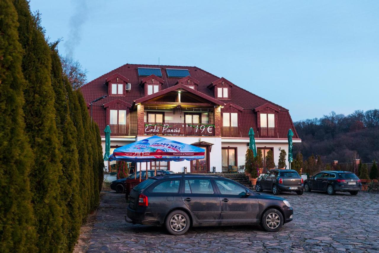Pensiunea Si Restaurant Erdo Odorheiu Secuiesc Eksteriør bilde